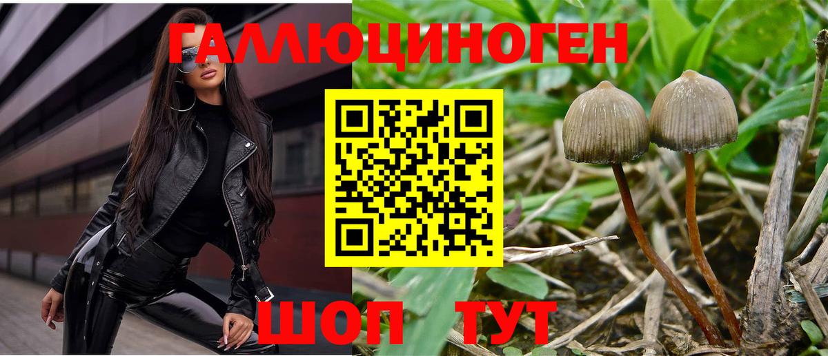 Псилоцибиновые грибы Psilocybe  Галлюциногенные грибы Psilocybe  как найти закладки  Пенза  Вход с VPN 
